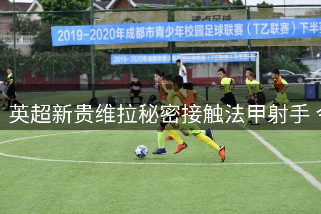 英超新贵维拉秘密接触法甲射手 今夏转会市场再起波澜